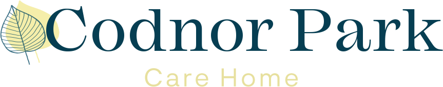 Home logo