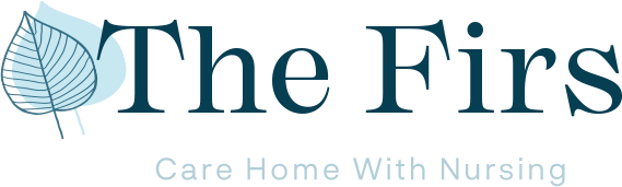 Home logo