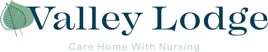 Home logo